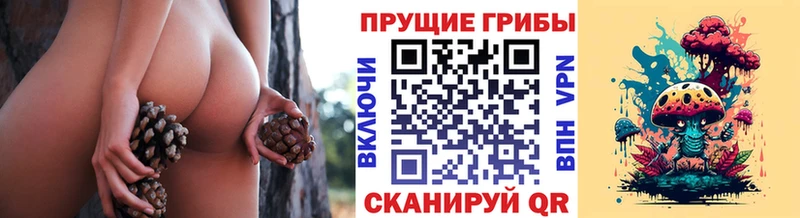 ссылка на мегу сайт  Корсаков  Псилоцибиновые грибы Psilocybine cubensis 