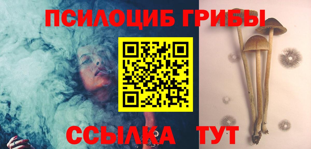 Псилоцибиновые грибы Cubensis  Вход с VPN  Корсаков 